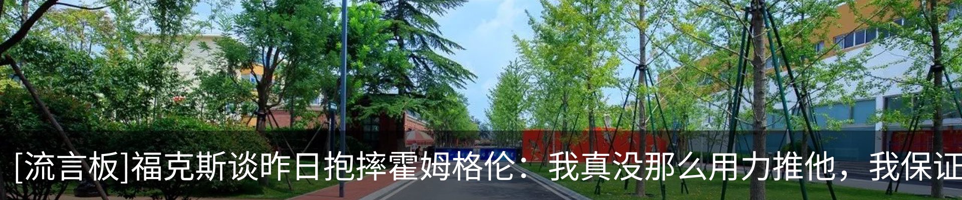最新动态